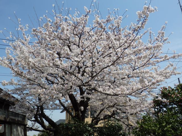 f0130894_2236140.jpg