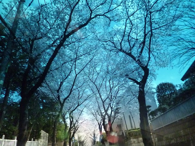 f0305995_21415885.jpg