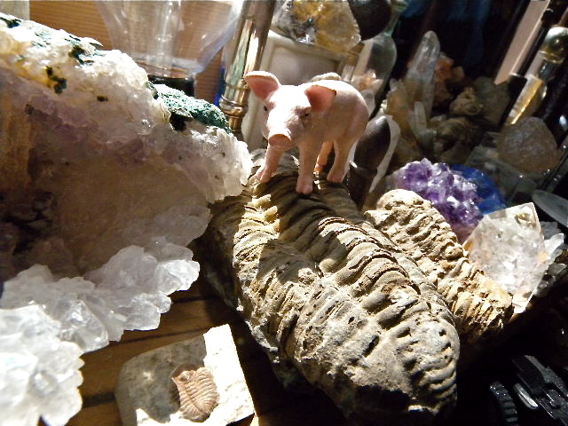 a0199297_19501055.jpg