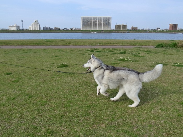 c0049299_19364252.jpg