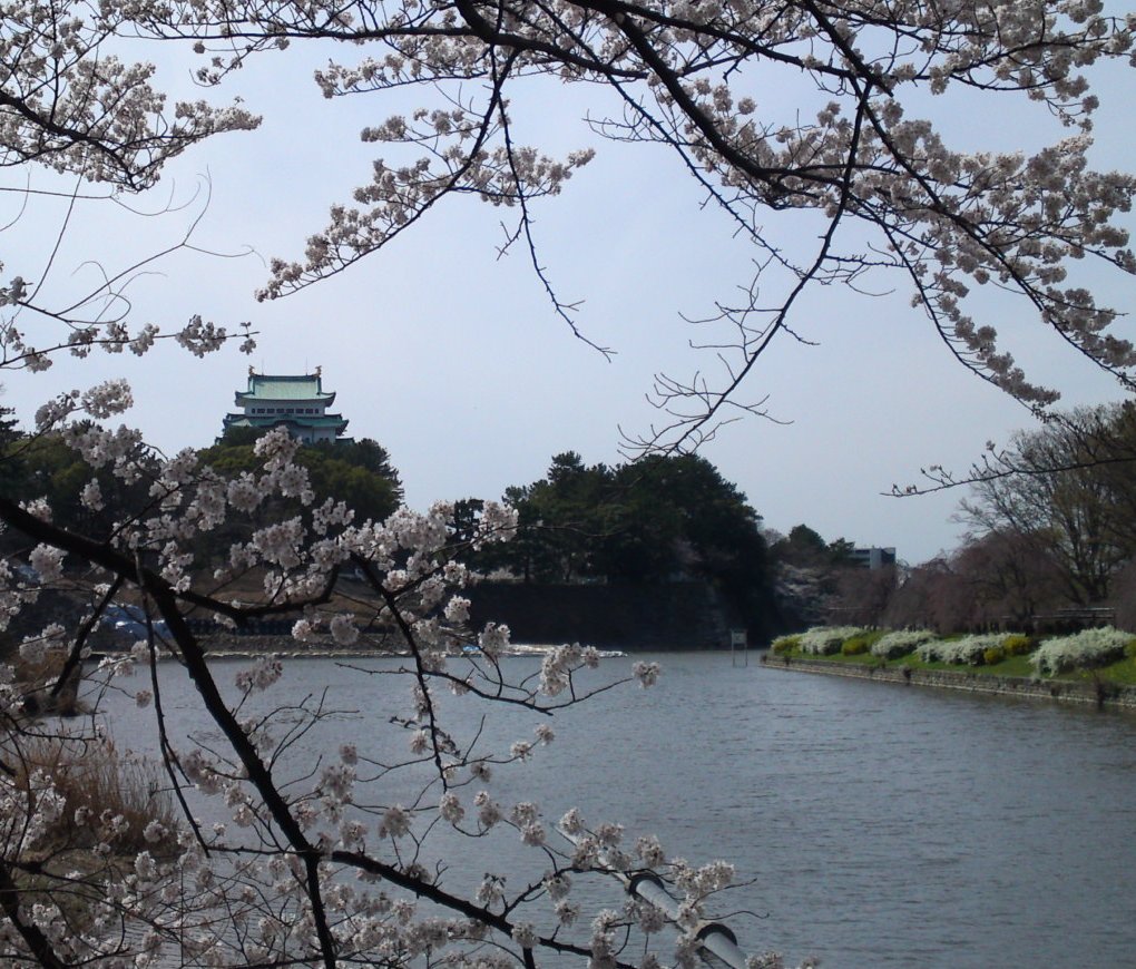 a0031000_05242.jpg