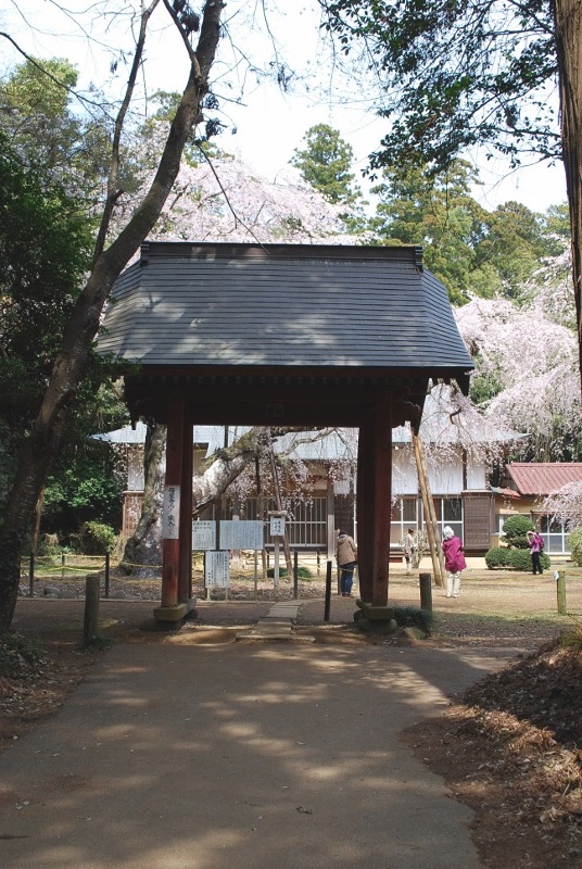 e0025300_1575540.jpg