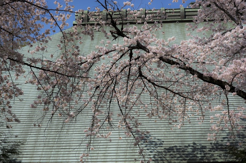 f0224100_22105153.jpg