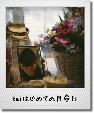 c0226701_2203936.png