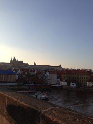 f0248903_66141.jpg