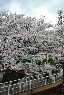 a0134004_23585148.jpg