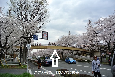a0134004_2359715.jpg
