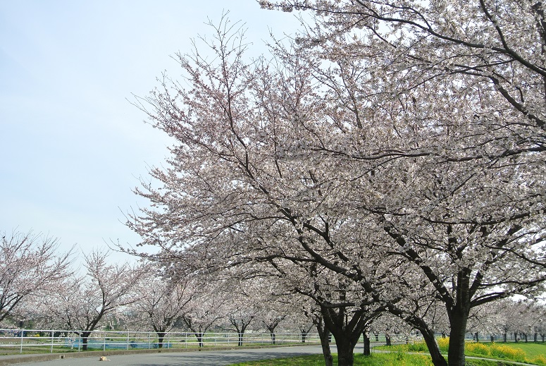 f0179209_155542.jpg
