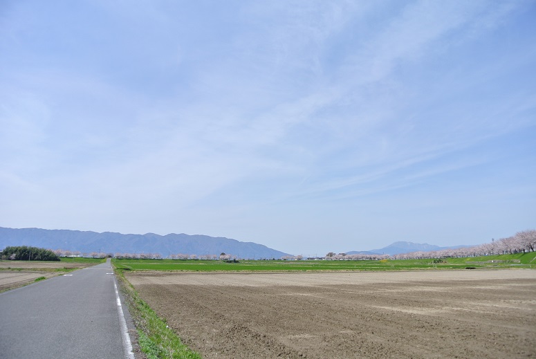 f0179209_158291.jpg