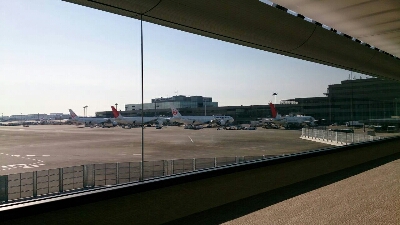 b0236618_175423.jpg