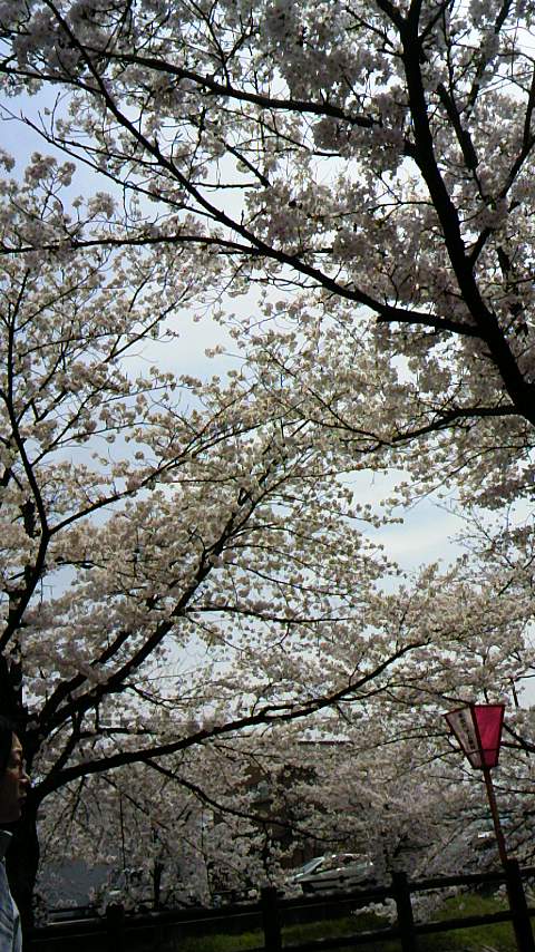 f0066420_16213058.jpg