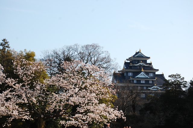 f0248120_20494784.jpg