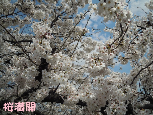 c0166622_820125.jpg