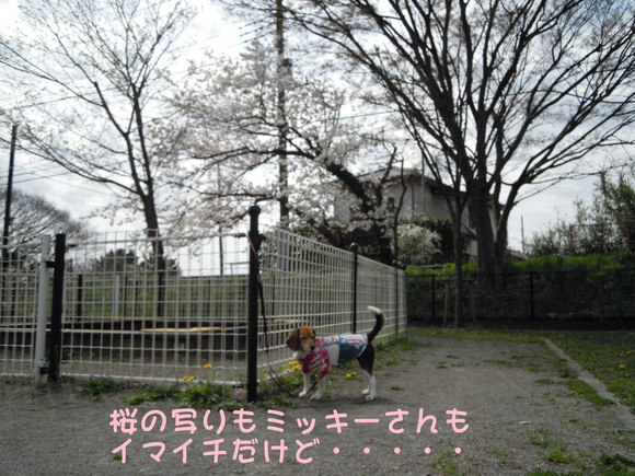 c0166622_8202980.jpg