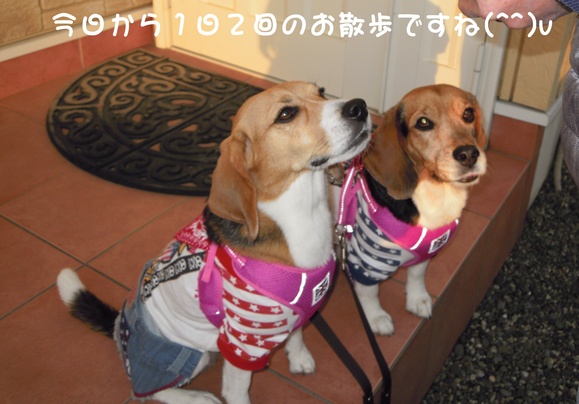 c0166622_841346.jpg