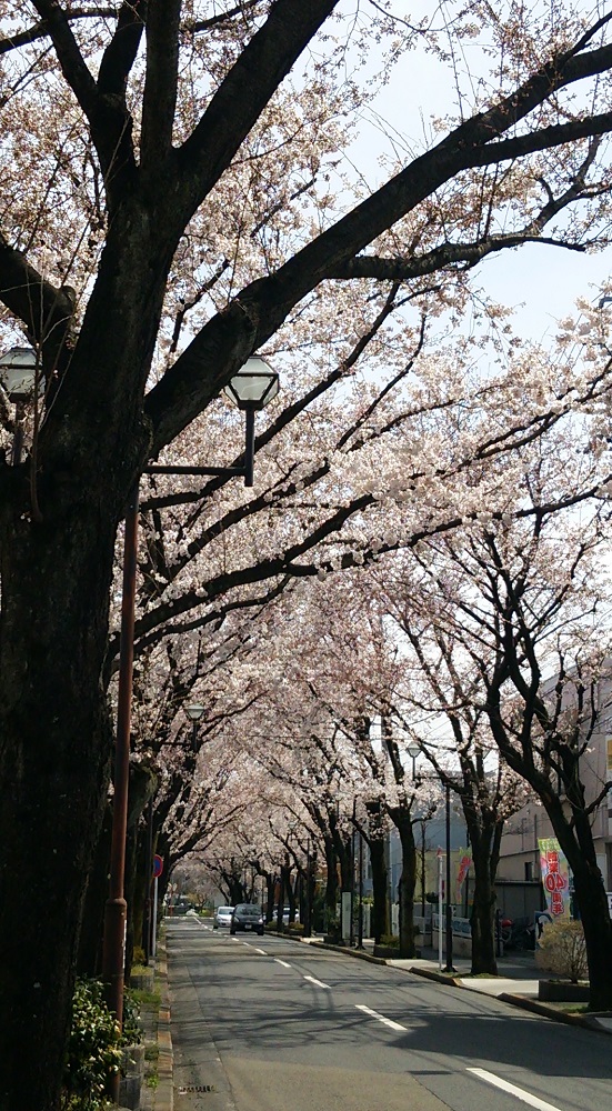 b0199924_14223447.jpg