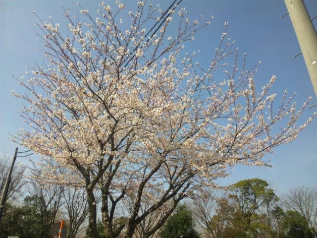 c0236527_0402949.jpg
