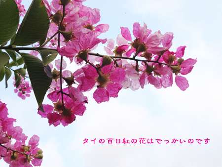 d0042827_17132748.jpg