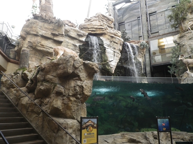 a0272033_23332684.jpg