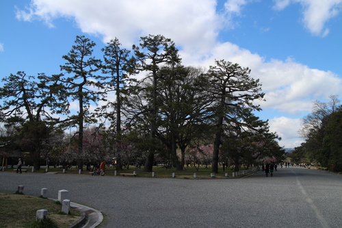 d0033734_2112368.jpg