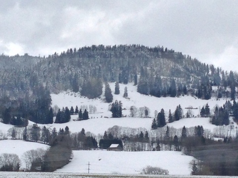 e0081334_0122856.jpg