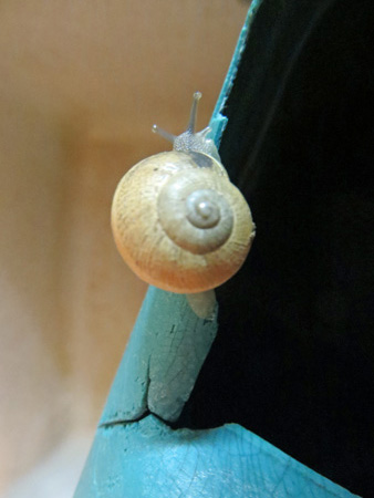 f0234936_4574422.jpg