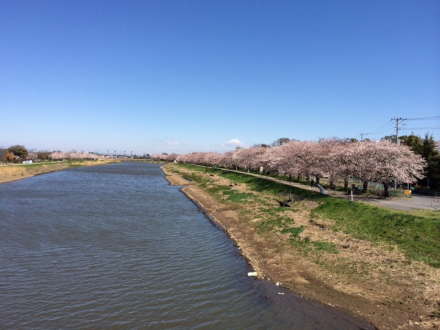 a0103037_15211645.jpg