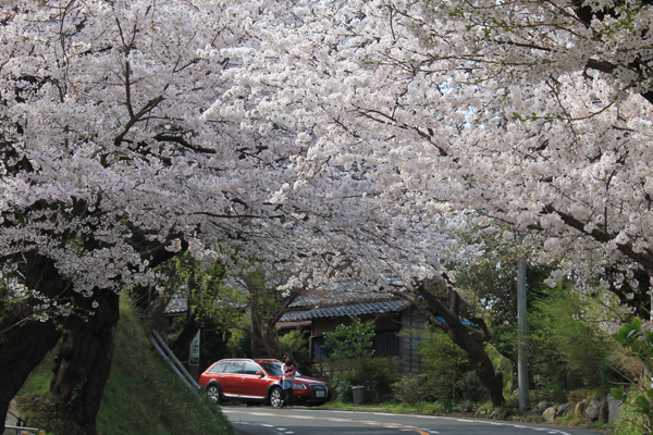 c0126647_13262325.jpg