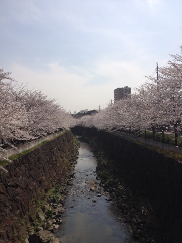 f0191248_8181053.jpg