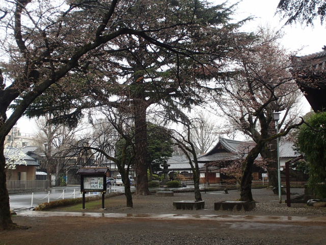 d0063149_09092458.jpg