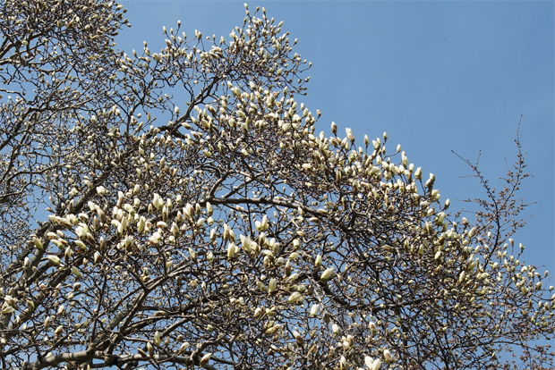 f0214649_5262279.jpg