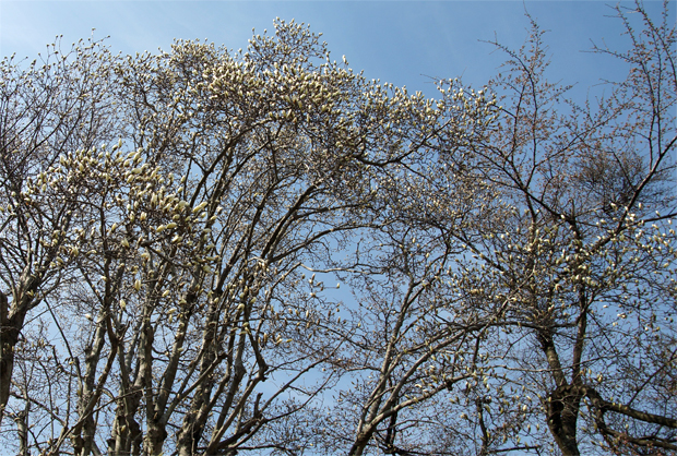 f0214649_526697.jpg
