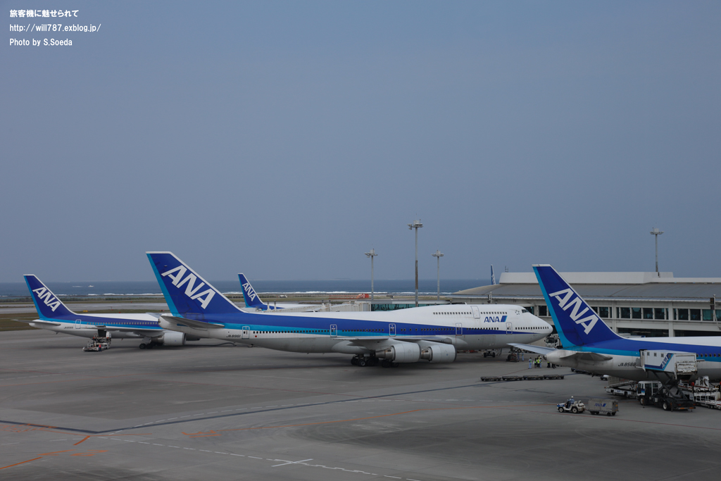 d0242350_2227140.jpg