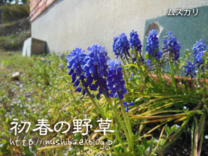 a0286855_10535339.jpg