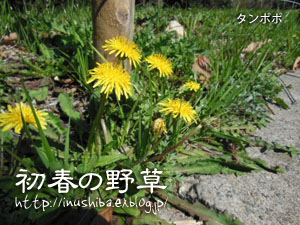 a0286855_10535562.jpg