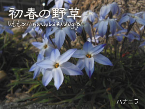 a0286855_10535615.jpg