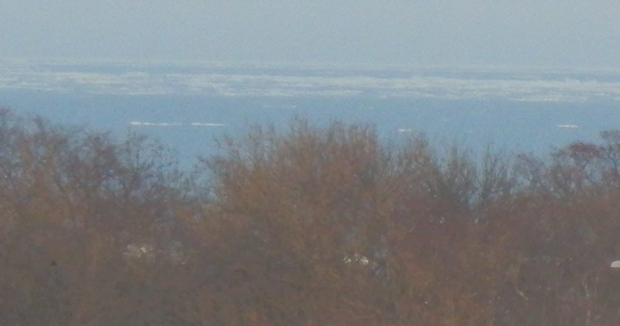 e0004756_19495260.jpg