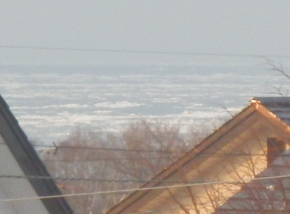 e0004756_19503051.jpg