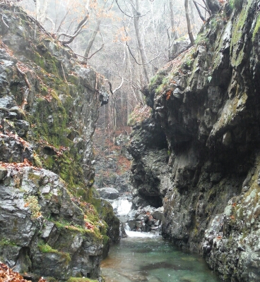 b0304662_21234193.jpg