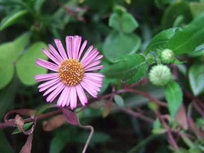 e0225164_7514293.jpg