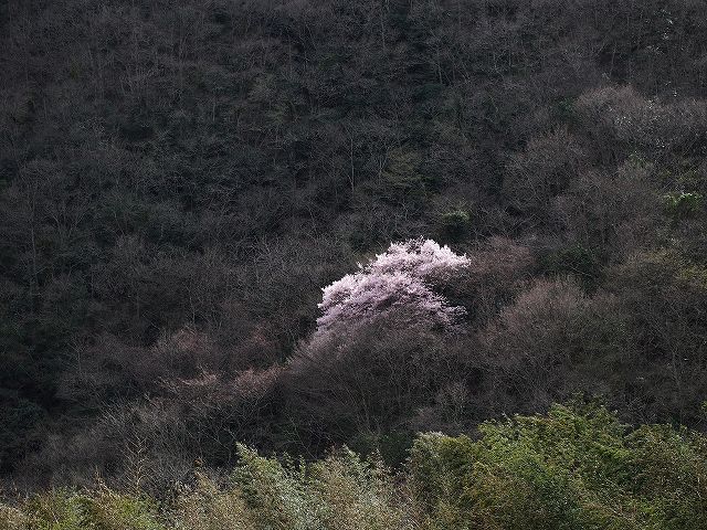 d0128465_1222469.jpg