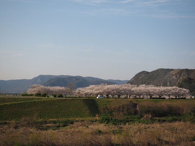 d0128465_12234140.jpg