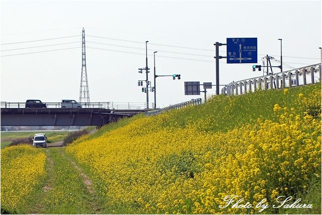 d0102968_84472.jpg