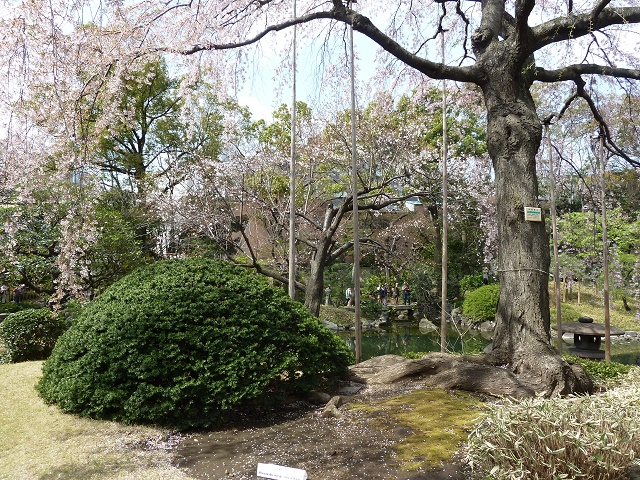 e0278968_21161006.jpg