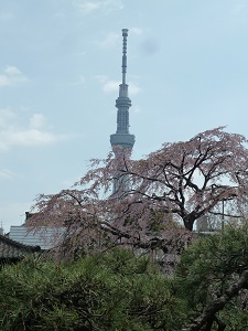 e0278968_21543472.jpg