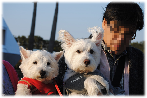 b0242873_20011279.png