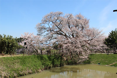 c0152779_14581920.jpg