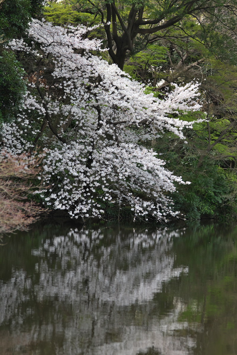 a0083081_174475.jpg