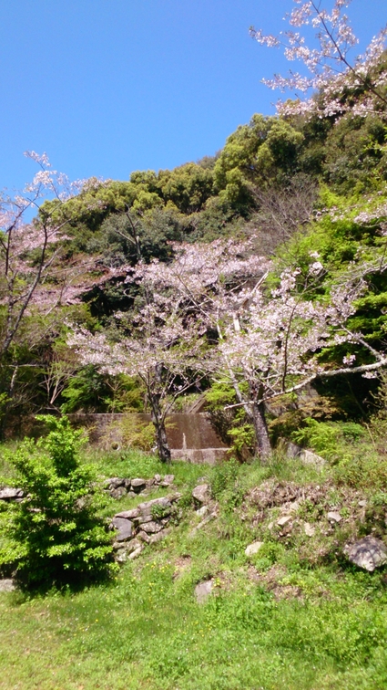 b0159585_141129.jpg