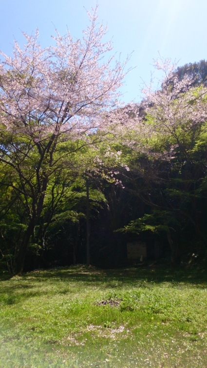 b0159585_1414418.jpg
